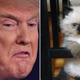 Left: Paul J. Richards/Getty; Right: Twitter